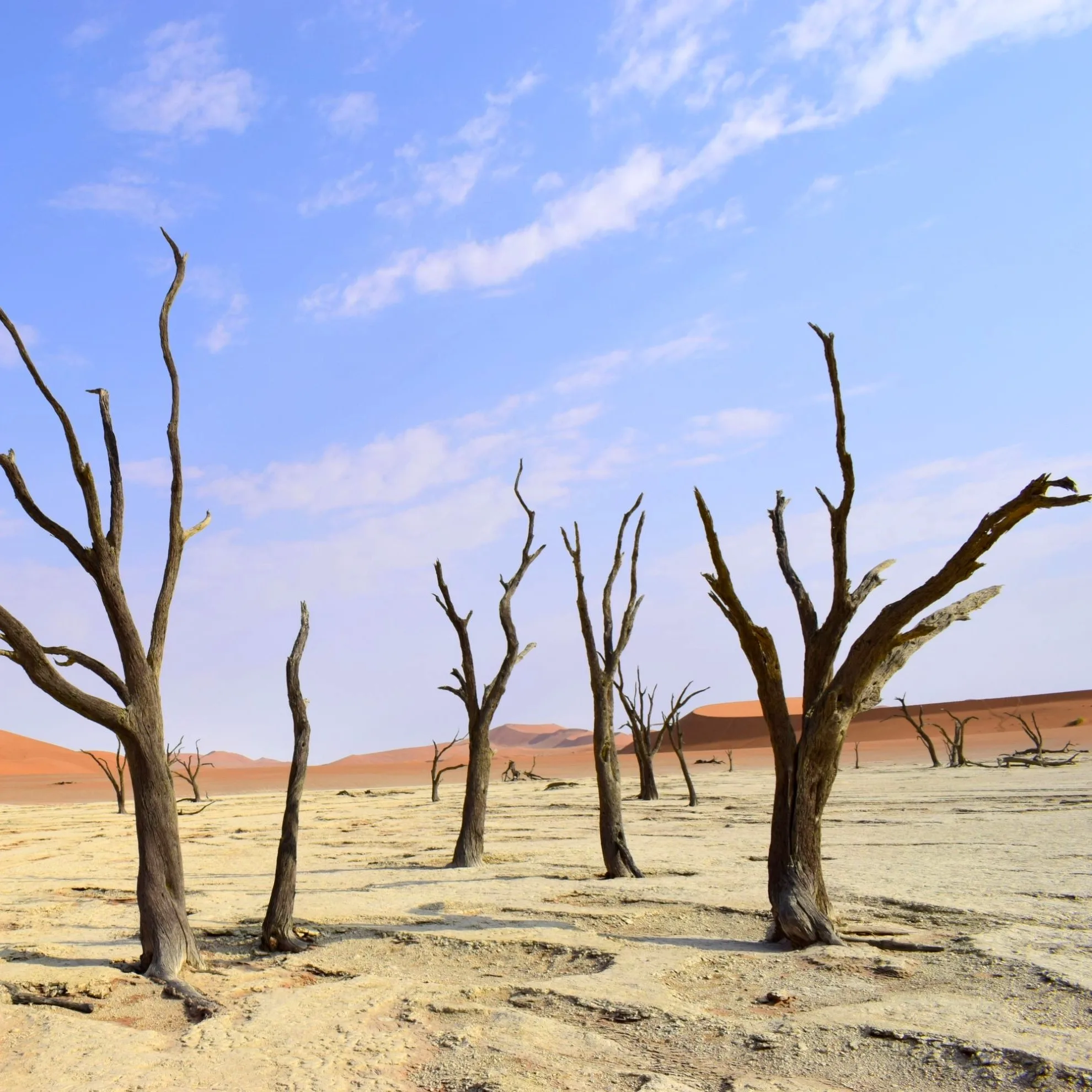 Deadvlei — Where Time Stopped